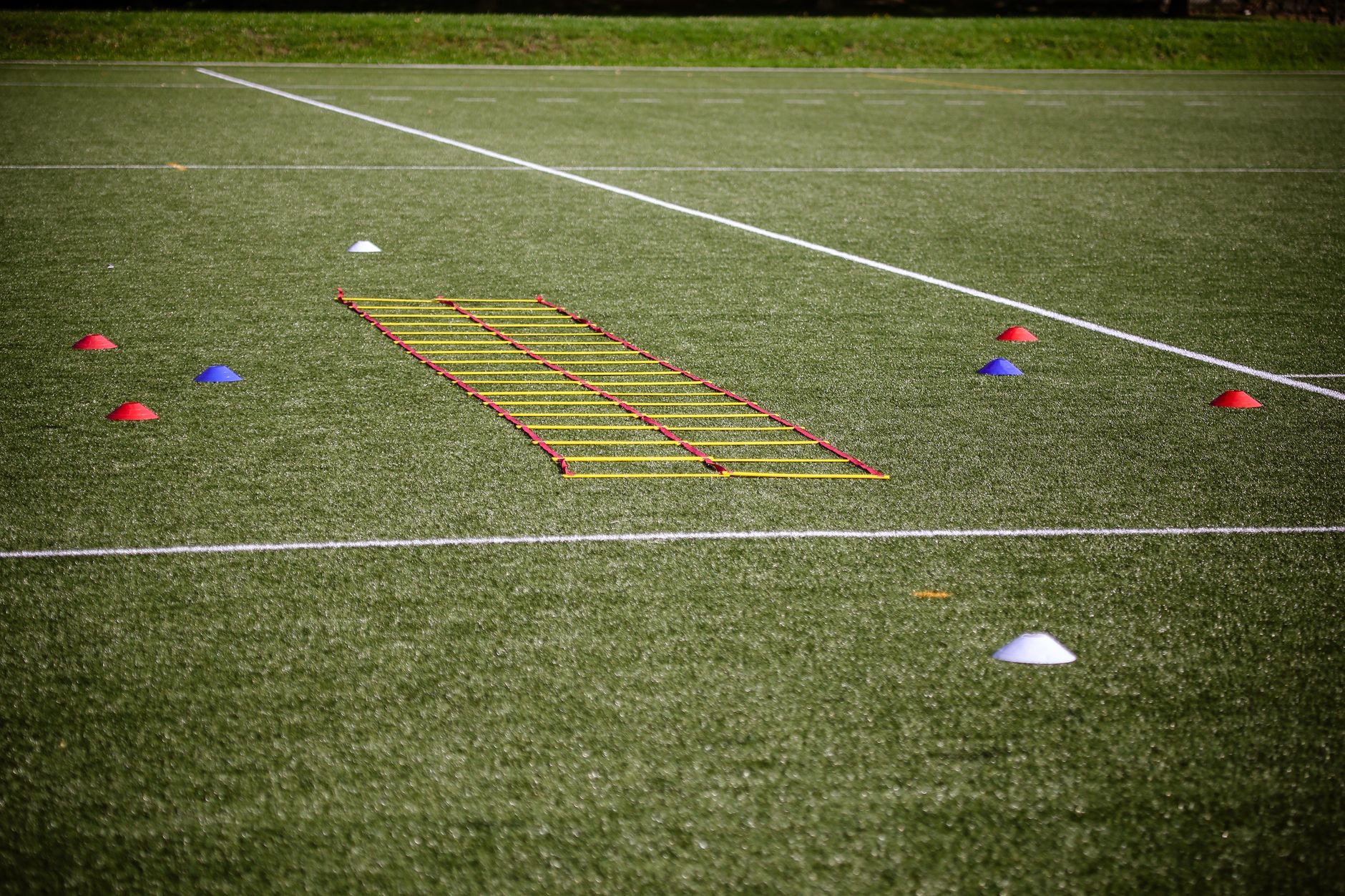 Best Agility Ladders for Football Training