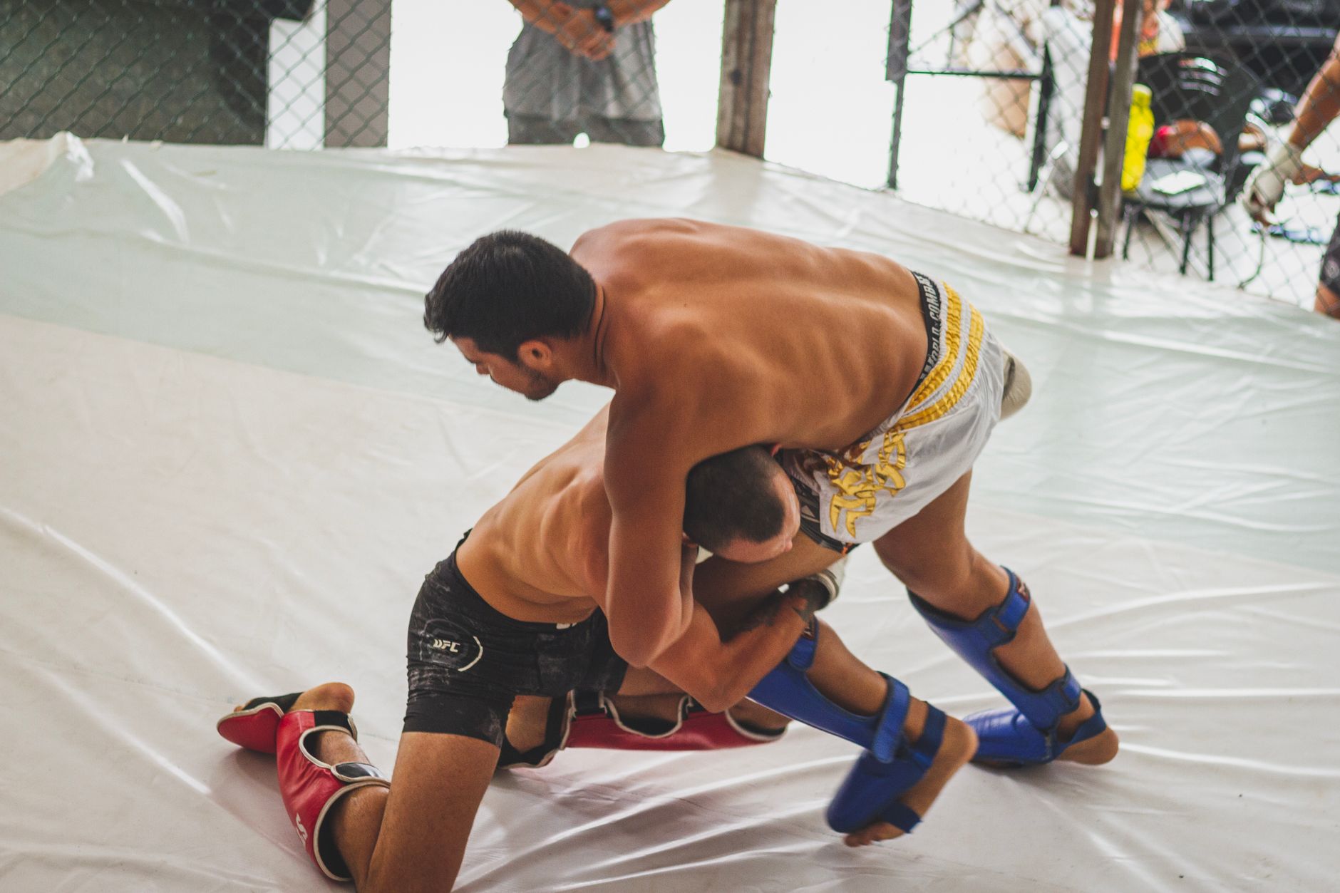 Best MMA Ankle Supports for Grappling and Sparring