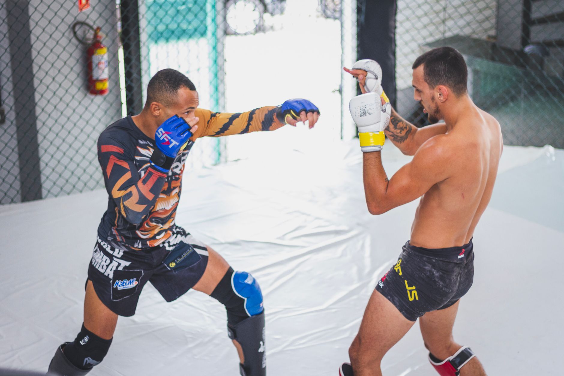 The Best MMA Compression Shorts for Grappling and Striking