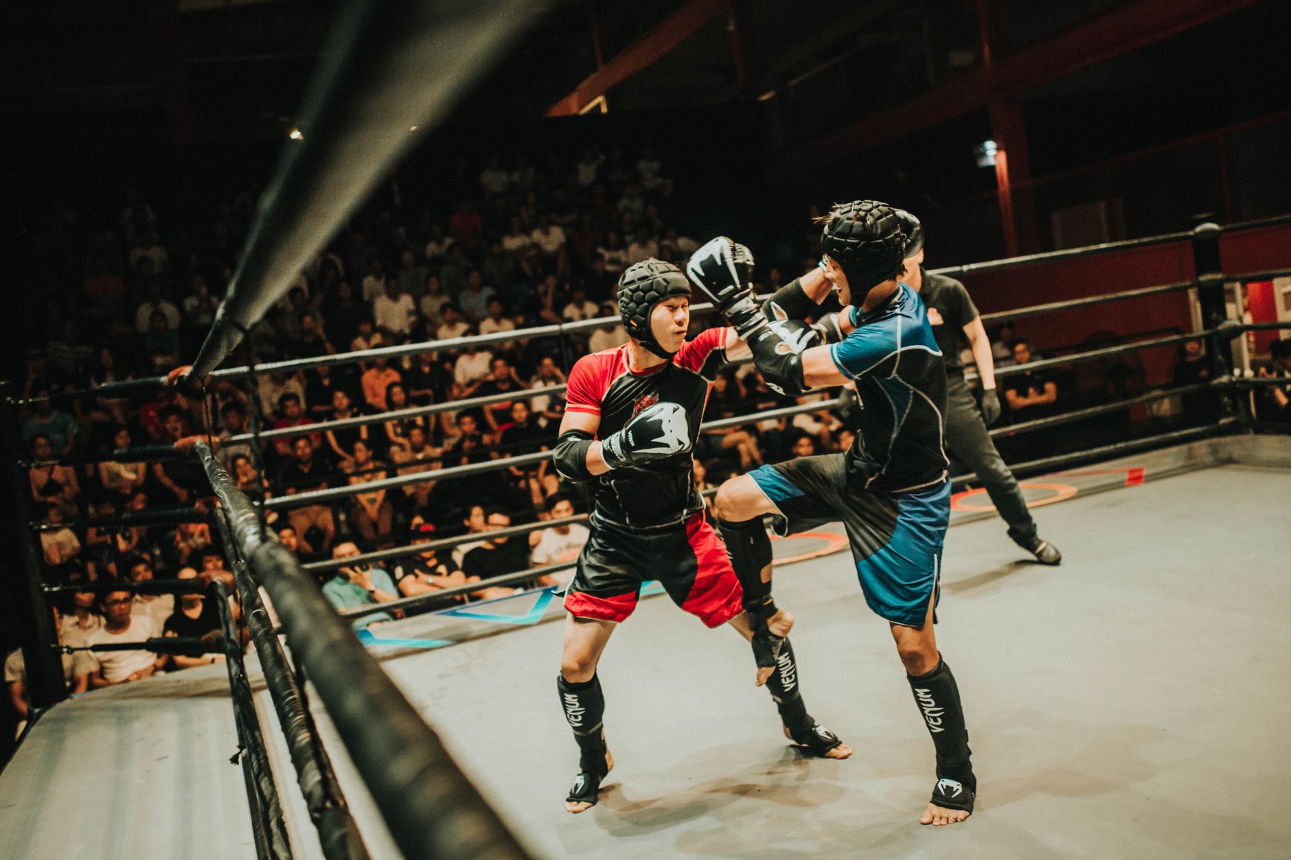 Best MMA Headgear for Sparring Protection 2026