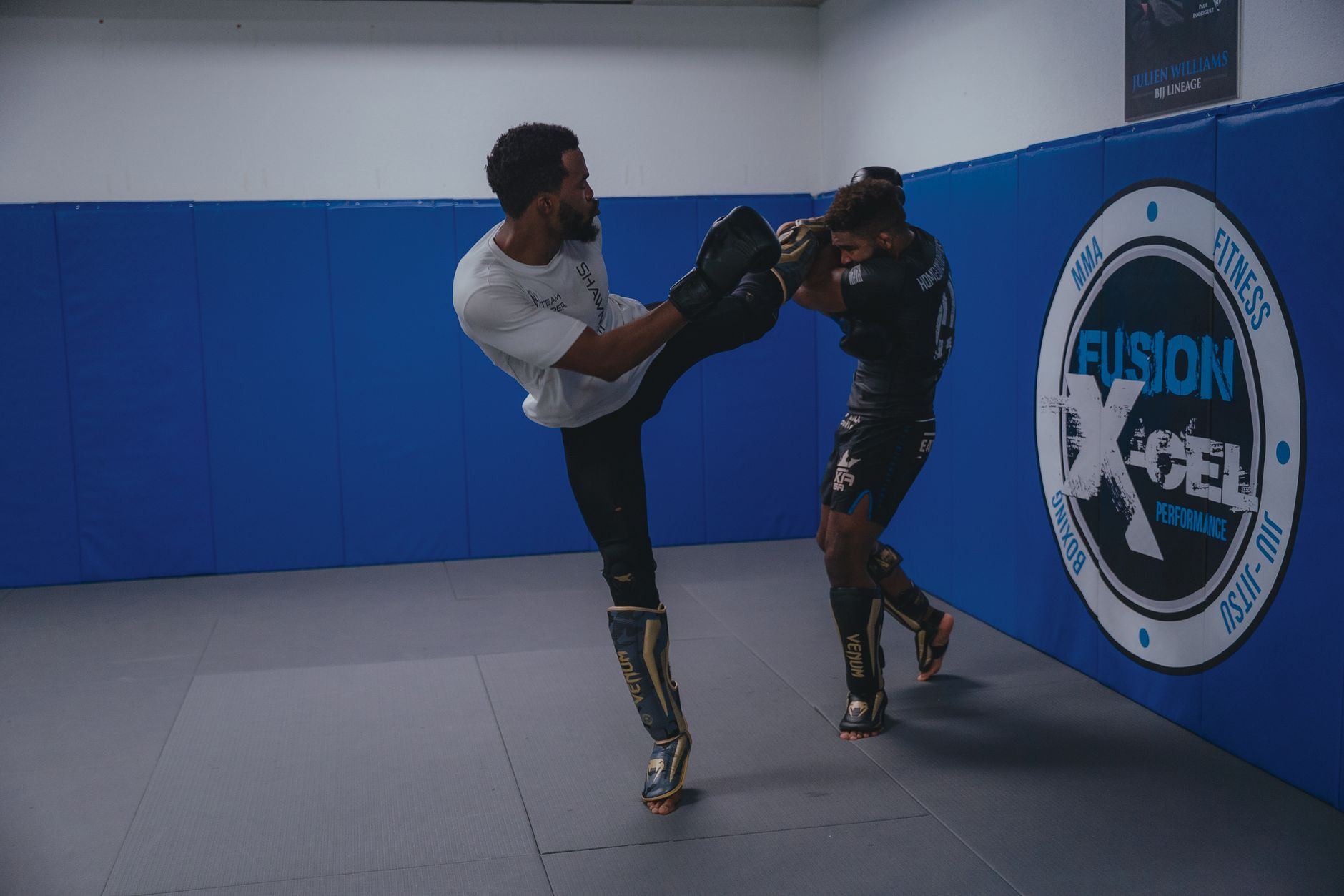 Best MMA Shin Guards for Sparring and Competition 2026