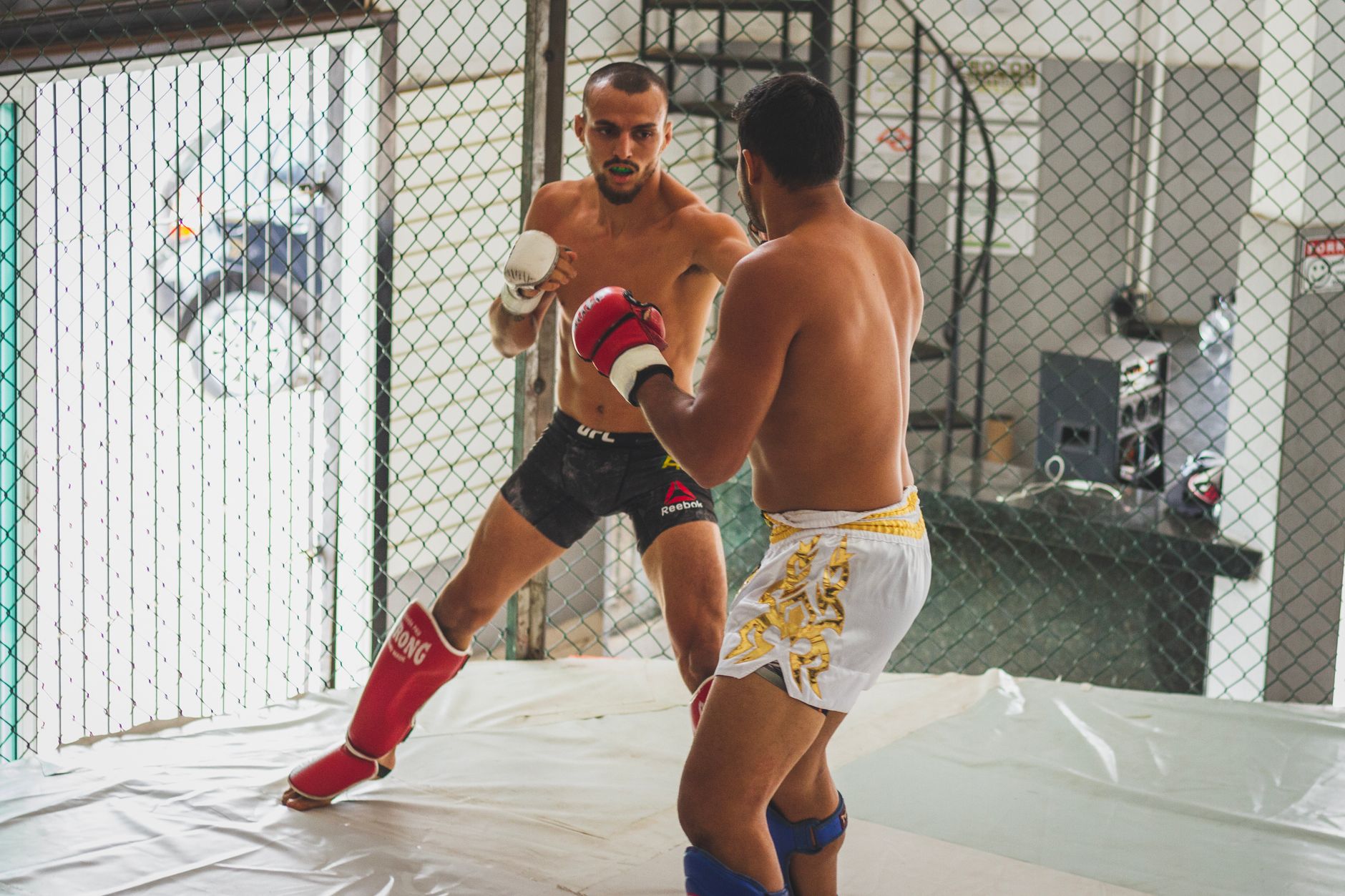Best MMA Shorts for Training and Competition