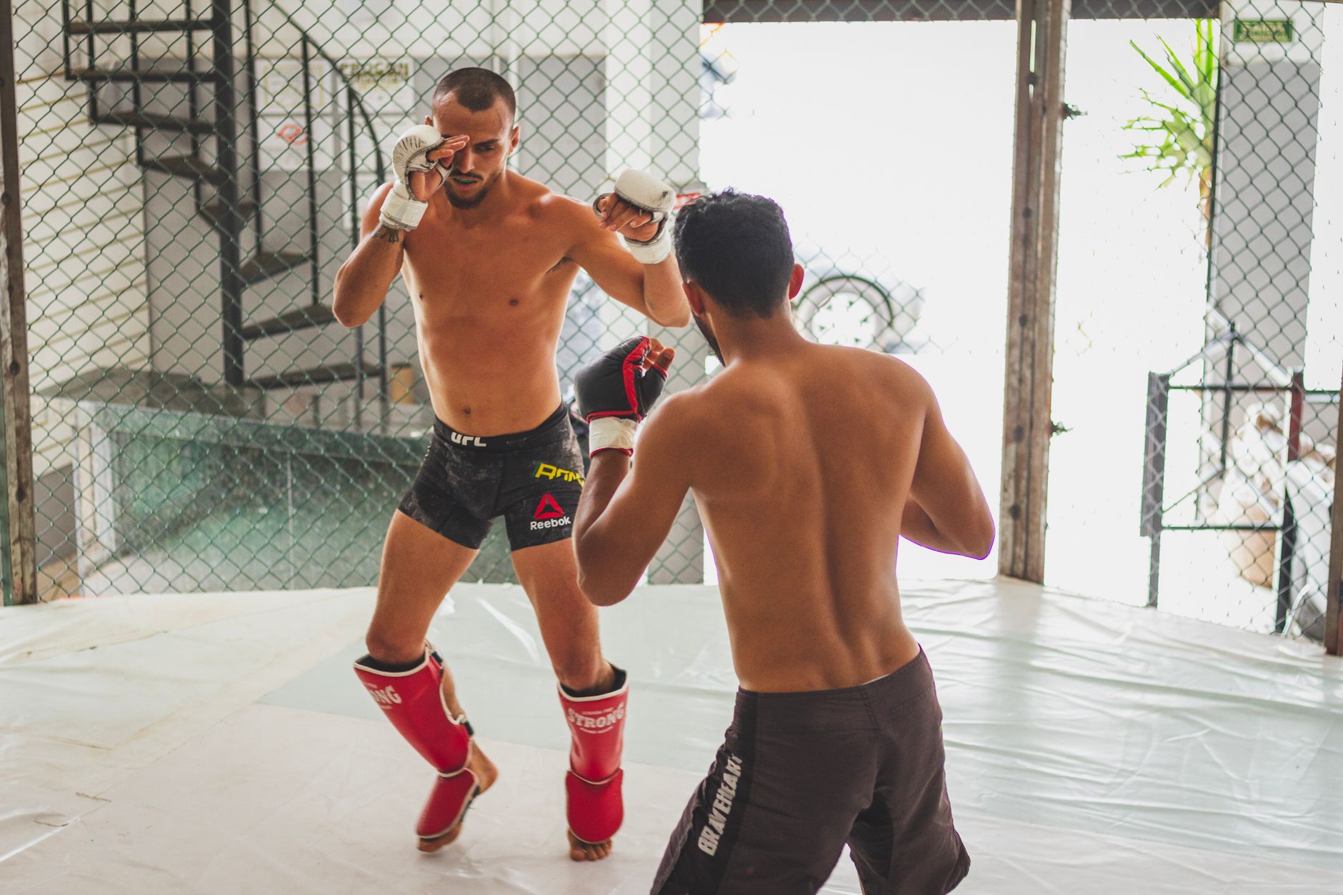 Top MMA Chest Protectors for Muay Thai and Kickboxing Sparring 2026