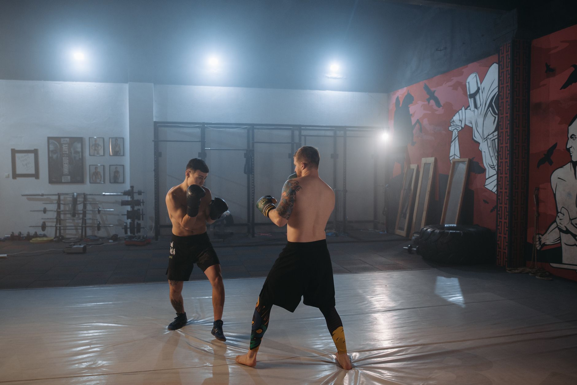 Top Speed and Reaction Balls for MMA Striking and Reflex Training